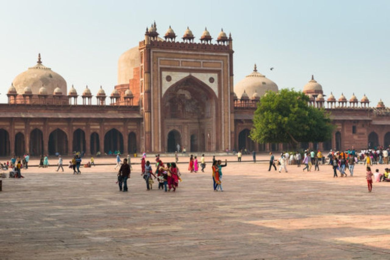 From Delhi: Taj Mahal & Agra Private Day Tour with Transfers