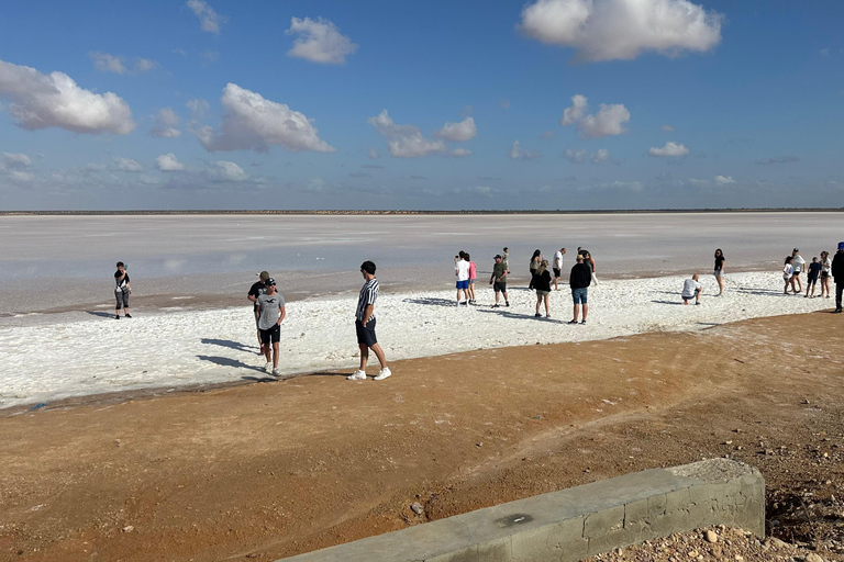 Djerba: Ksar Ghilane, Salt Lake, & Ksar Hadada