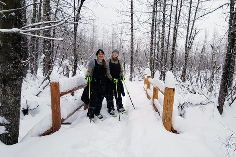 Guided Snowshoeing Adventure from Seward, Alaska 6-Hour Tour