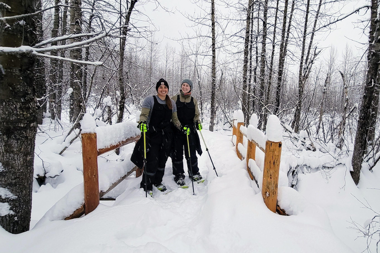 Guided Snowshoeing Adventure from Seward, Alaska 6-Hour Tour