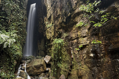 Kedah: Magnificent Jerai Multi Waterfalls Hunt & Jungle Trek Hippo: Challenging Canyon Loop (8km | 10 falls)