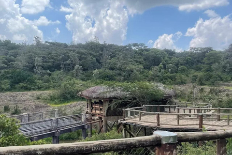 Nairobi: The Wild & The Brew Experience