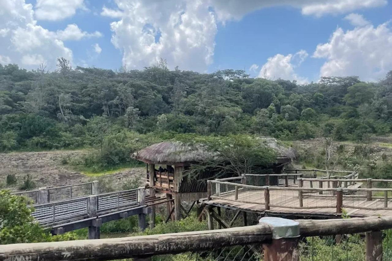 Nairobi: The Wild & The Brew Experience