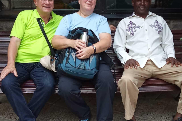 Tour a pie por la ciudad de NairobiNairobi: tour a pie guiado por la cultura y la historia