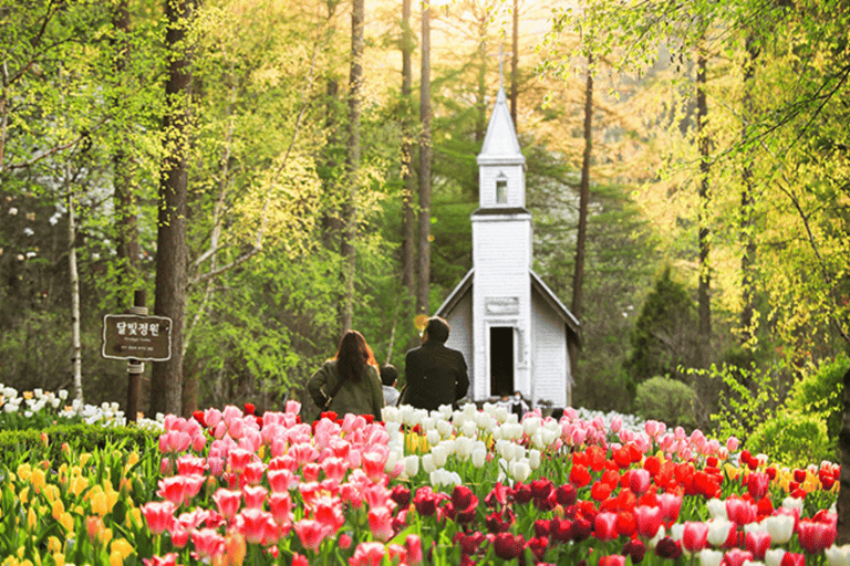 From Seoul: Nami Island, Korean Garden & Rail Bike Day Trip Group Tour with Railbike from Hongdae (Hongik University)