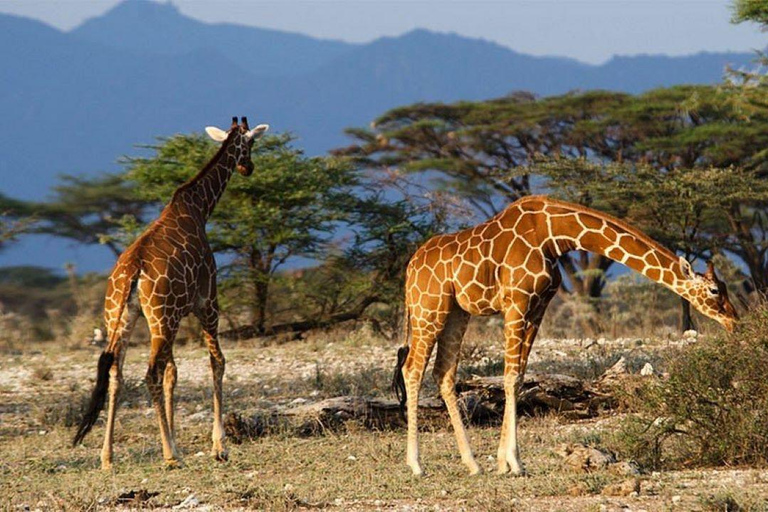 From Kampala: 2-Day Sipi Falls and Mount Elgon Tour
