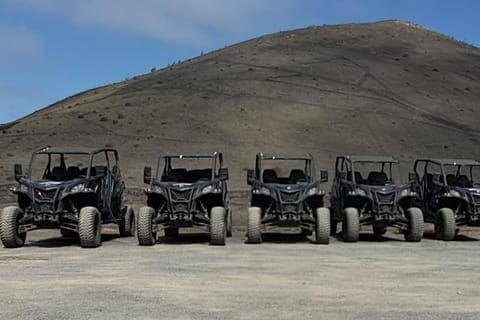 Lanzarote: Tour misto Tour guidato in buggy del vulcano a 4 posti