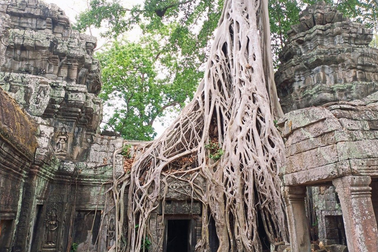 Excursión de 3 días a un Templo-Privada en Siem Reap Angkor