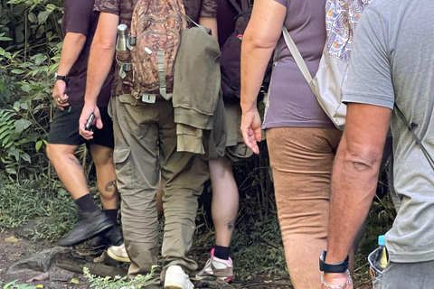 Da Rio: ritiro ecoturistico di 4 giorni con trasferimenti e cabineDa Rio: 4 giorni di eco-turismo con trasferimenti e alloggio in bungalow