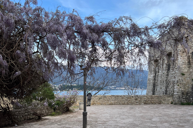 Z Tirany: 4-dniowa wycieczka po Albanii i Czarnogórze