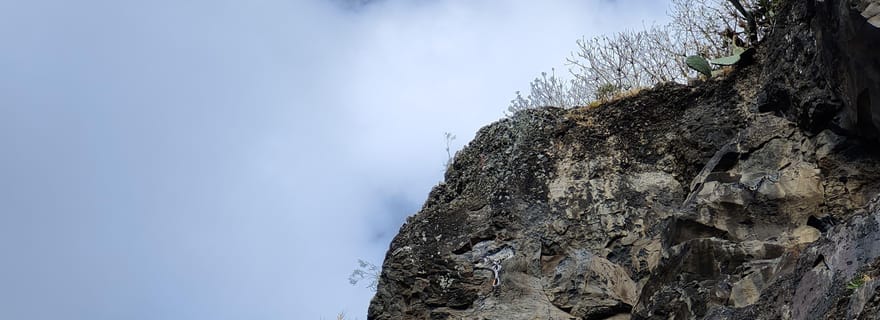 Depuis Funchal : visite guidée de l'escalade, avec prise en charge.
