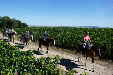 Reims: Horseback Riding Tour with Lunch