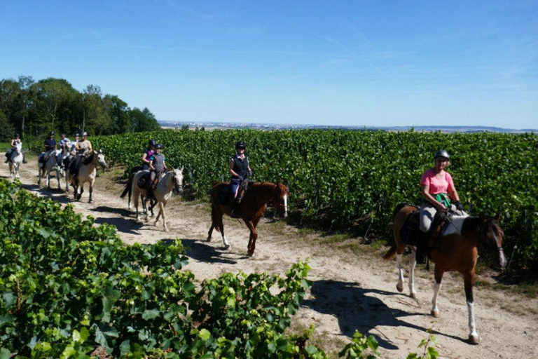 Reims: Horseback Riding Tour with Lunch