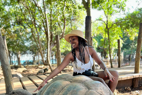 Ciudad de piedra y prisión Isla