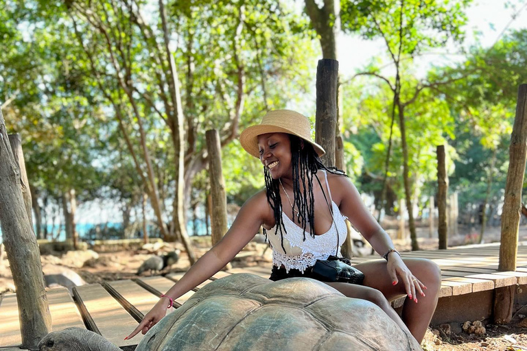 Ciudad de piedra y prisión Isla