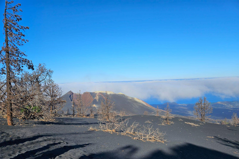 La Palma: Tour to the new Tajogaite volcano 360º.Pick up in Santa Cruz de La Palma