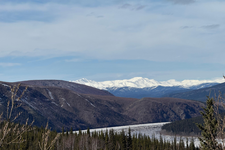 Fairbanks: Arctic Circle Day Tour with Guide