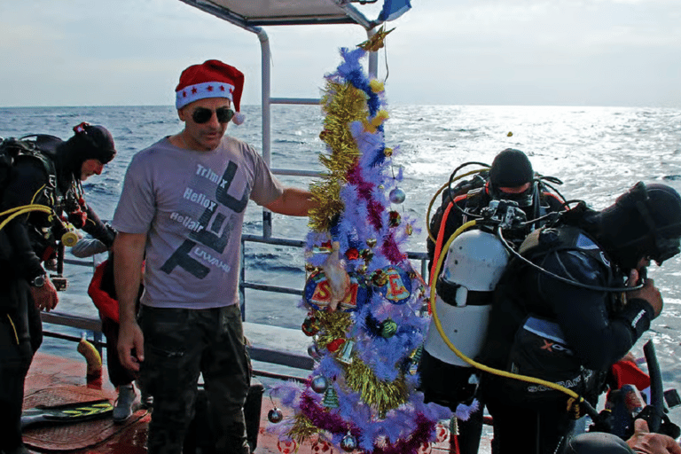 Larnaca: Private Zenobia Wreck with full gear Larnaca: Private Zenobia Wreck with fully gear