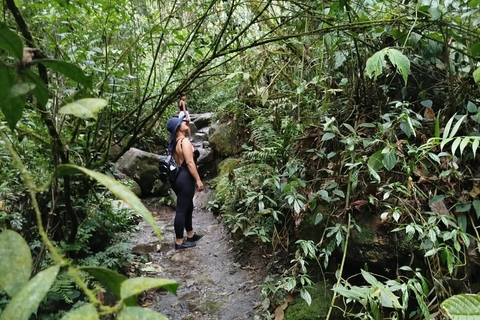 Medellín: Trekking and nature adventure at the Chorro de Campanas waterfall Medellín: Trekking and Nature Adventure at the Chorro de Campanas Waterfall
