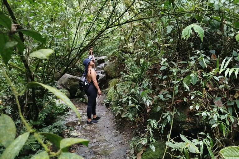 Medellín: Trekking and nature adventure at the Chorro de Campanas waterfall Medellín: Trekking and Nature Adventure at the Chorro de Campanas Waterfall