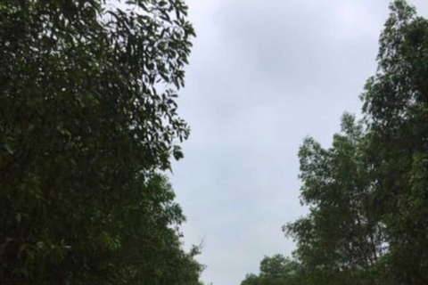 Hoi An: My Son Sanctuary & Secret Waterfall Full-Day Tour