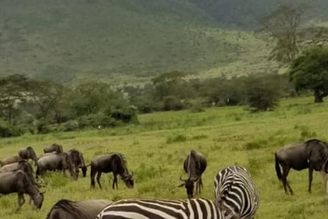 Safari de 3 días y 2 noches a Tsavo desde Nairobi