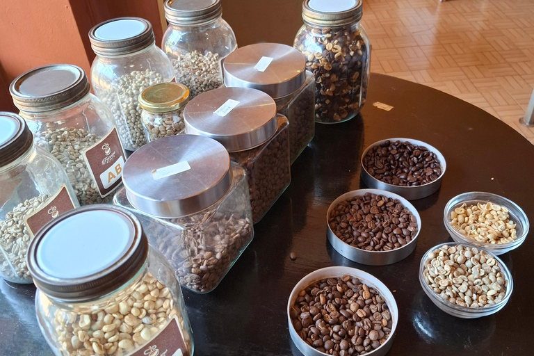 TOUR GIORNALIERO DELLA FATTORIA DEL CAFFÈ FAIRVIEW