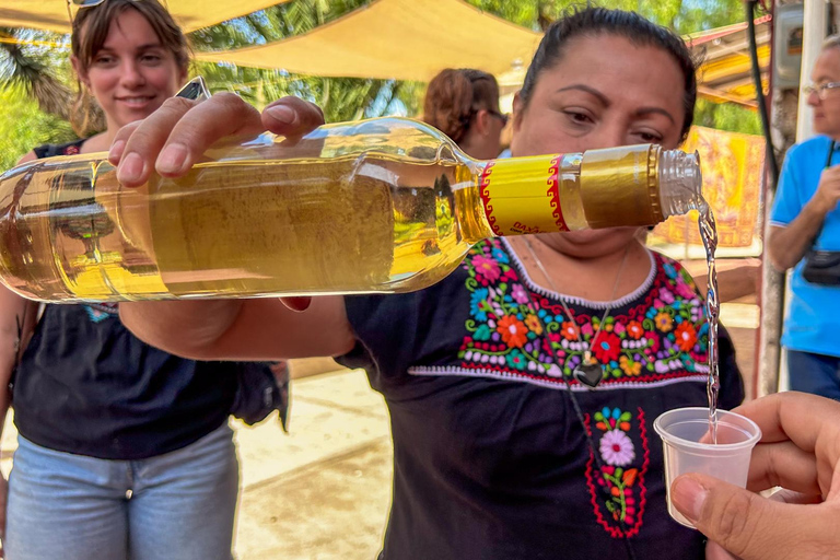 Città del Messico: Piramidi di Teotihuacan e Basilica di Guadalupe