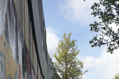 Belfast City Mural/Political Tour