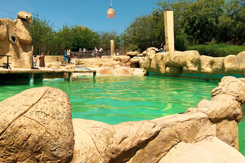 Tunesië: Friguia Park GezinsarrangementTunesië: Friguia Park ophaalservice vanuit Mahdia / Hammamet