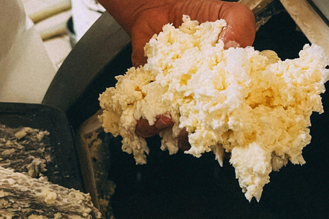 Vico Equense: Cheese-Making Class with Tasting