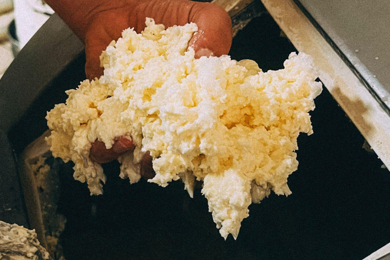 Vico Equense: Cheese-Making Class with Tasting