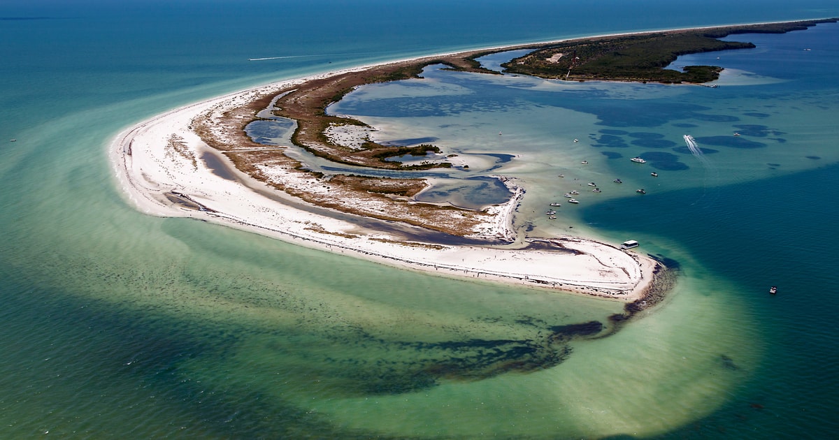 Holiday, FL Anclote Key Preserve Private Eco Boat Tour GetYourGuide