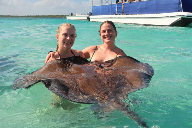 St.John's, Antigua: Stingray City & Long Bay Shore Excursion