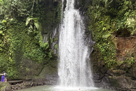 Ubud: Private Half-Day Tour Rice Terrace, Temple & Waterfall Private Ubud Half-Day Tour (Without Entrance Ticket)