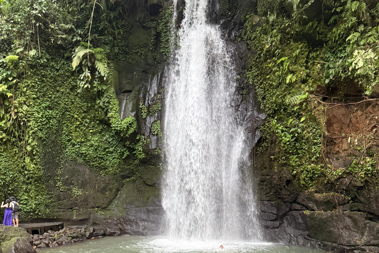 Ubud: Private Half-Day Tour Rice Terrace, Temple & Waterfall Private Ubud Half-Day Tour (Without Entrance Ticket)