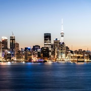 Auckland Night Lights Cruise with Welcome Drink & Canapés