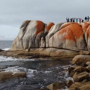 Tasmania: 7-Day West to East Tour