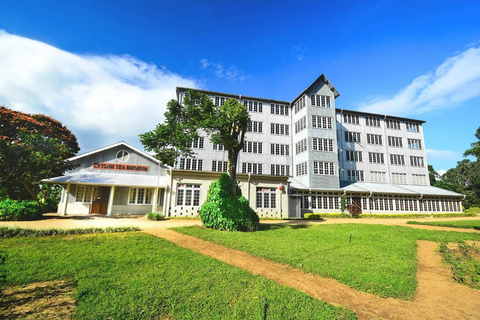 Kandy: Sandahirusaya Temple & Ceylon Tea Museum Tour
