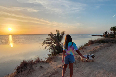 Authentic Djerba: Underground Oil Mill, Palm Grove, Pottery & Mosque