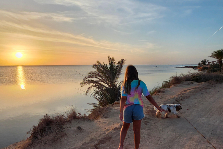 Authentic Djerba: Underground Oil Mill, Palm Grove, Pottery & Mosque