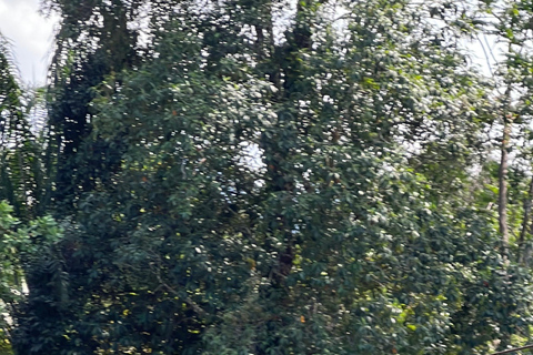 Phuket/Phang Nga: 7 Kilometer Rafting Thrill + Zipline & ATV 7 km Rafting + Zipline + One Professional Photo