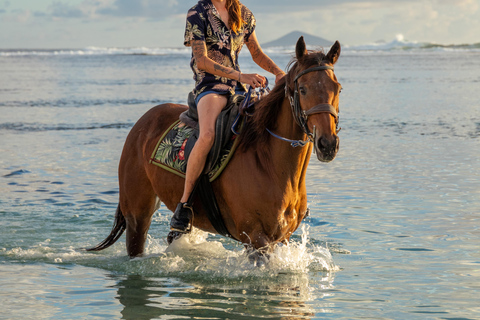 Descubriendo el sur. Paseos a caballo por la playa, excursiones a cascadas.