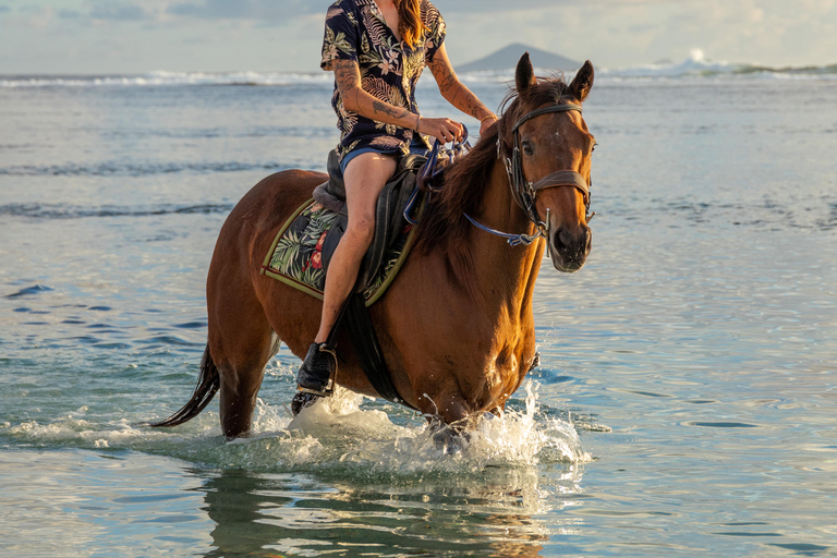 Descubriendo el sur. Paseos a caballo por la playa, excursiones a cascadas.