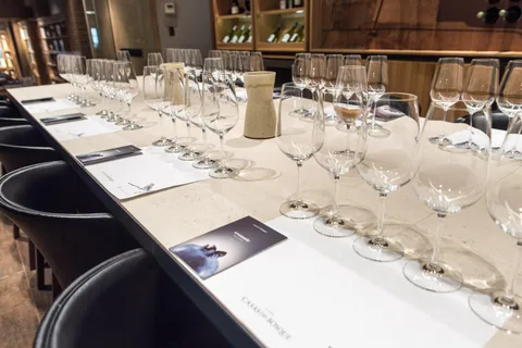 Cata de Vinos Premium en Casas del Bosque + Transporte Privado