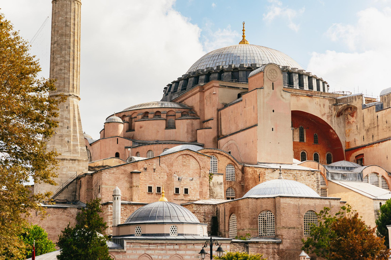 Istanbul: Hagia Sophia Skip-the-Line Ticket & Museum Option Mosque Ticket