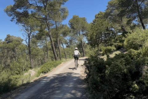 Ibiza: Self-Guided eMTB/e-Bike Rental with GPS Routes