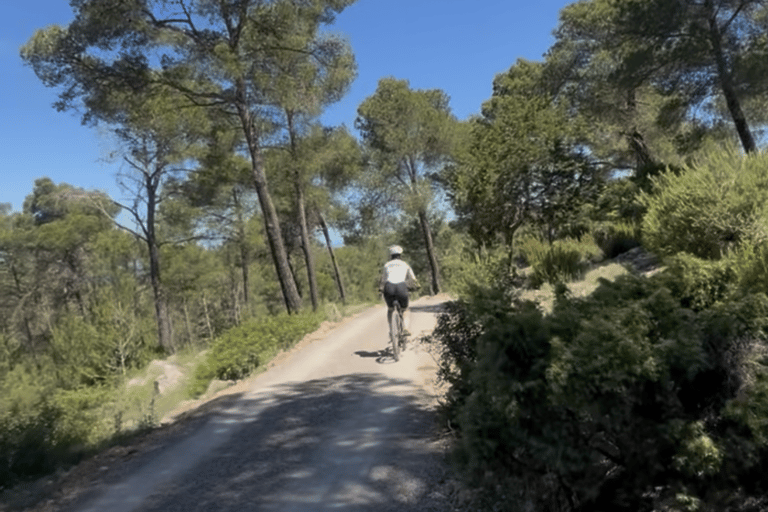 Ibiza: Self-Guided eMTB/e-Bike Rental with GPS Routes