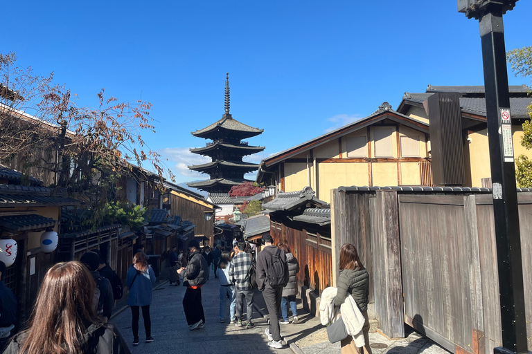 Kansai: Business and Leisure Tour with a Local Guide