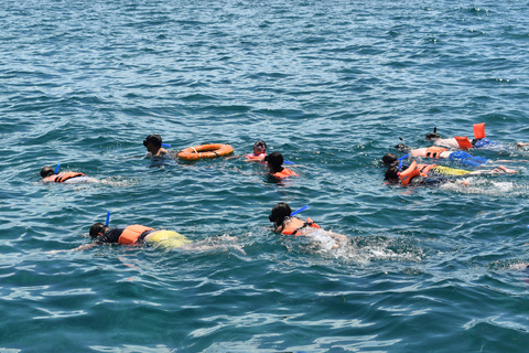 Cancún: Alleen voor volwassenen Catamaran naar Isla Mujeres &amp; SnorkeltourAlleen toegang Geen vervoer